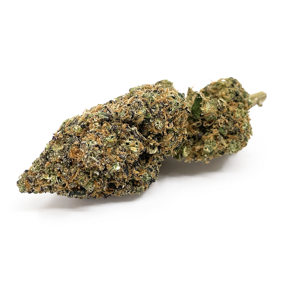 High Level Genetics Seeds Bombastic Berry 3pcs fem