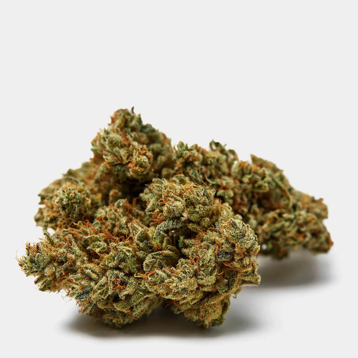 Qualicann Sweet Star Indoor 5.5g