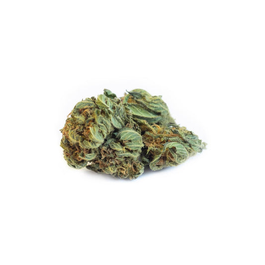 B-Chill Ragnar Outdoor 5g