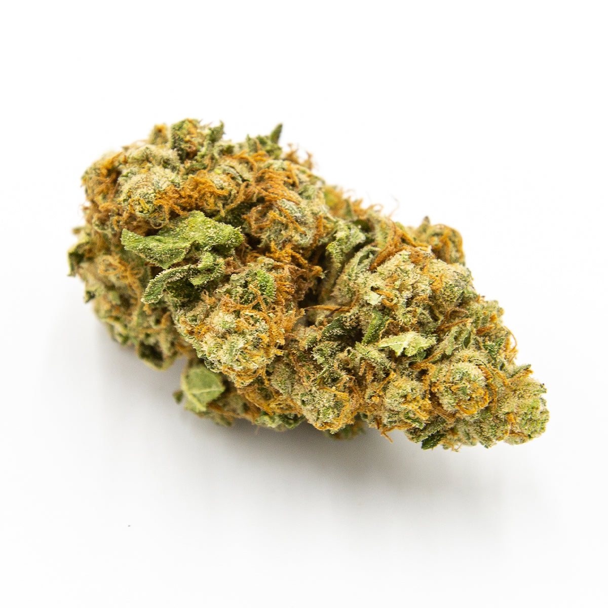 Hempy Harlequin Tsunami Indoor Fat Buds 2.0 New Genetic 12g