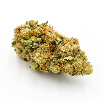 Hempy Harlequin Tsunami Indoor Fat Buds 2.0 New Genetic 12g