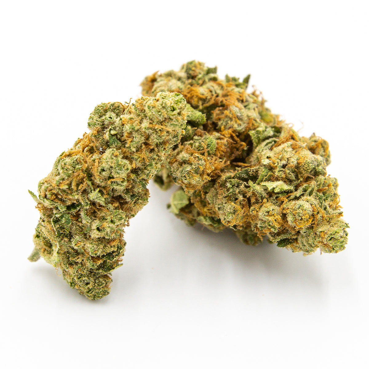 Hempy Harlequin Tsunami Indoor Fat Buds 2.0 New Genetic 12g