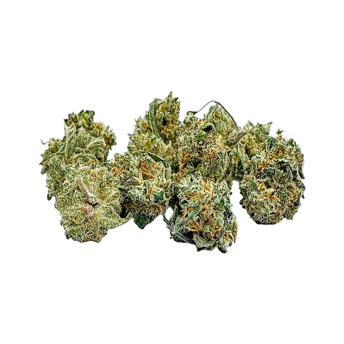 Paradise Weeds Ma Précieuse Indoor 13g