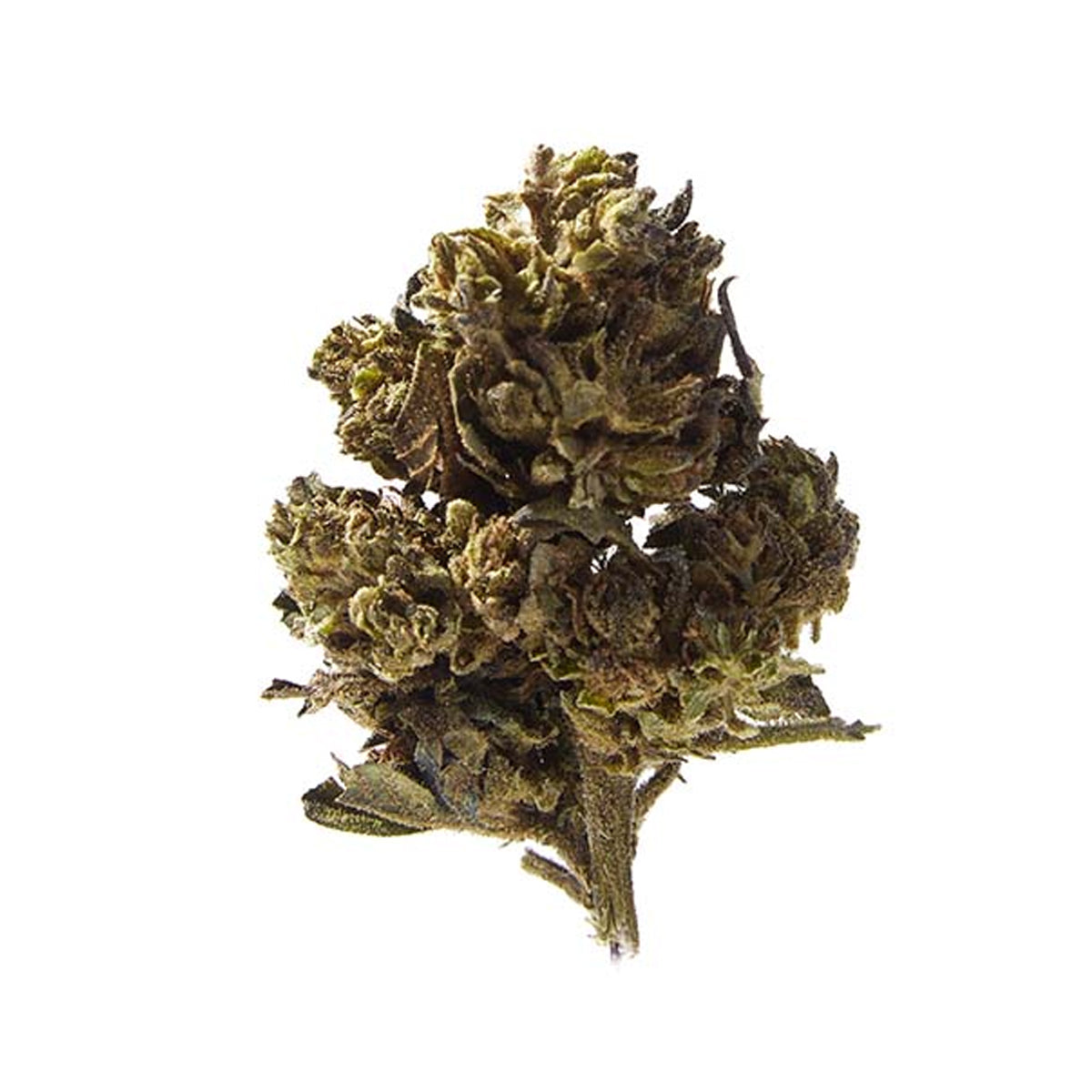 Herba di Berna Mango Haze Outdoor Limited Edition - 45g