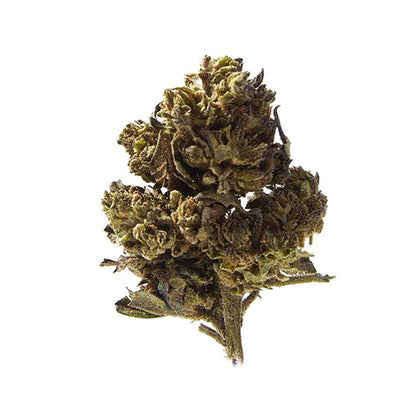 Herba di Berna Mango Haze Outdoor Limited Edition - 45g