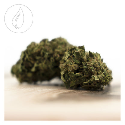 Herba di Berna Cannatonic Outdoor Limited Edition - 45g