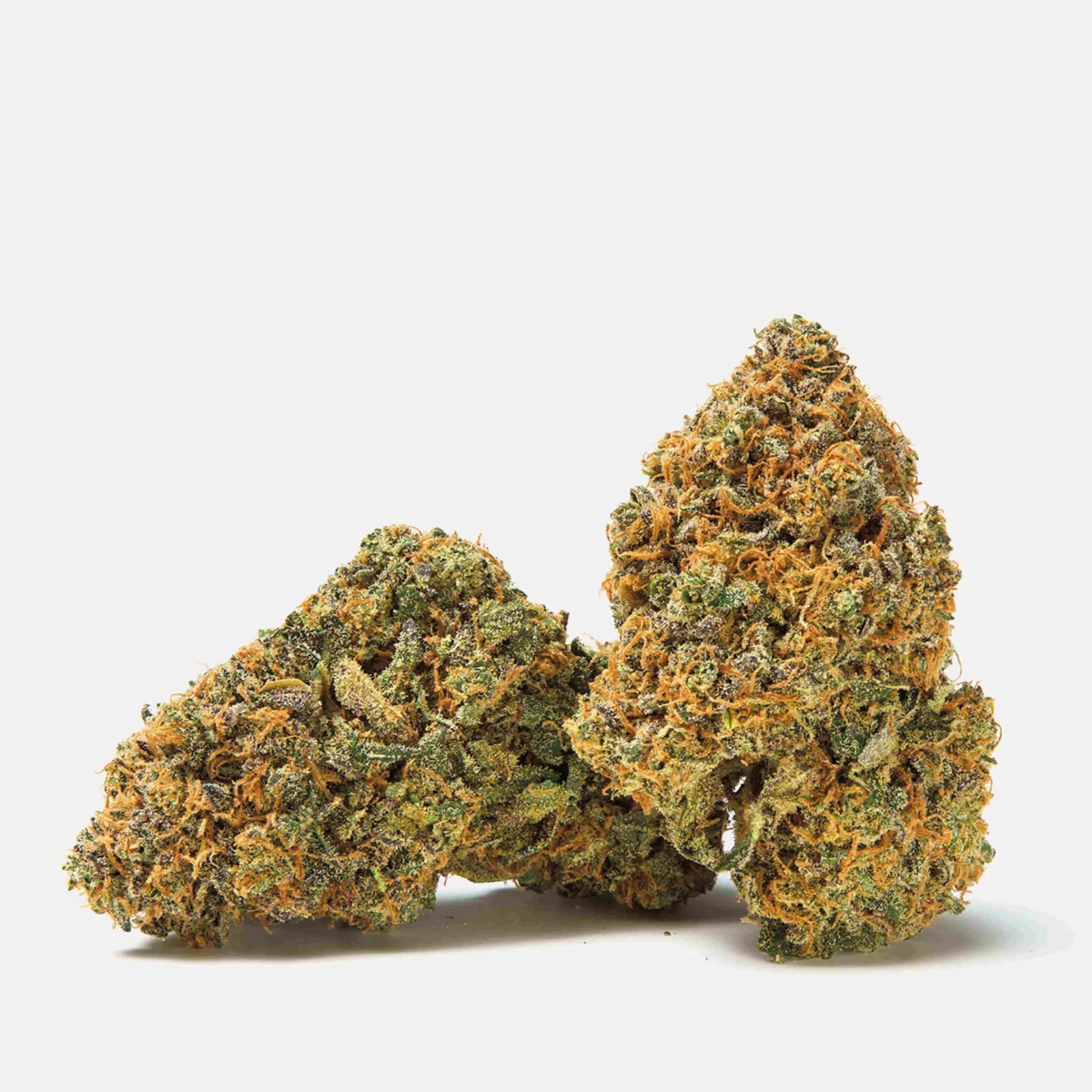 Qualicann Banana Diesel Indoor 5.5g