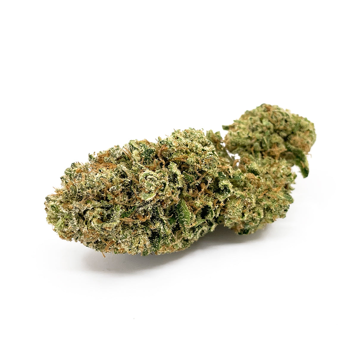 High Level Genetics Seeds Shiny Flake 3pcs fem